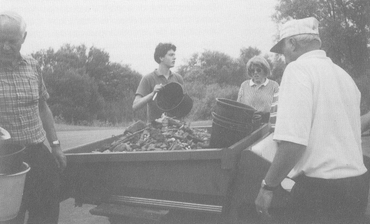 1994 26 juni stenenraapactie 1