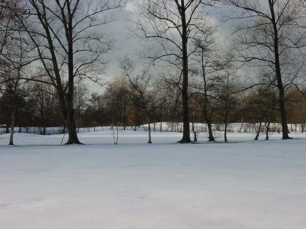 2003 2004 aoc081winter10032004 (2)