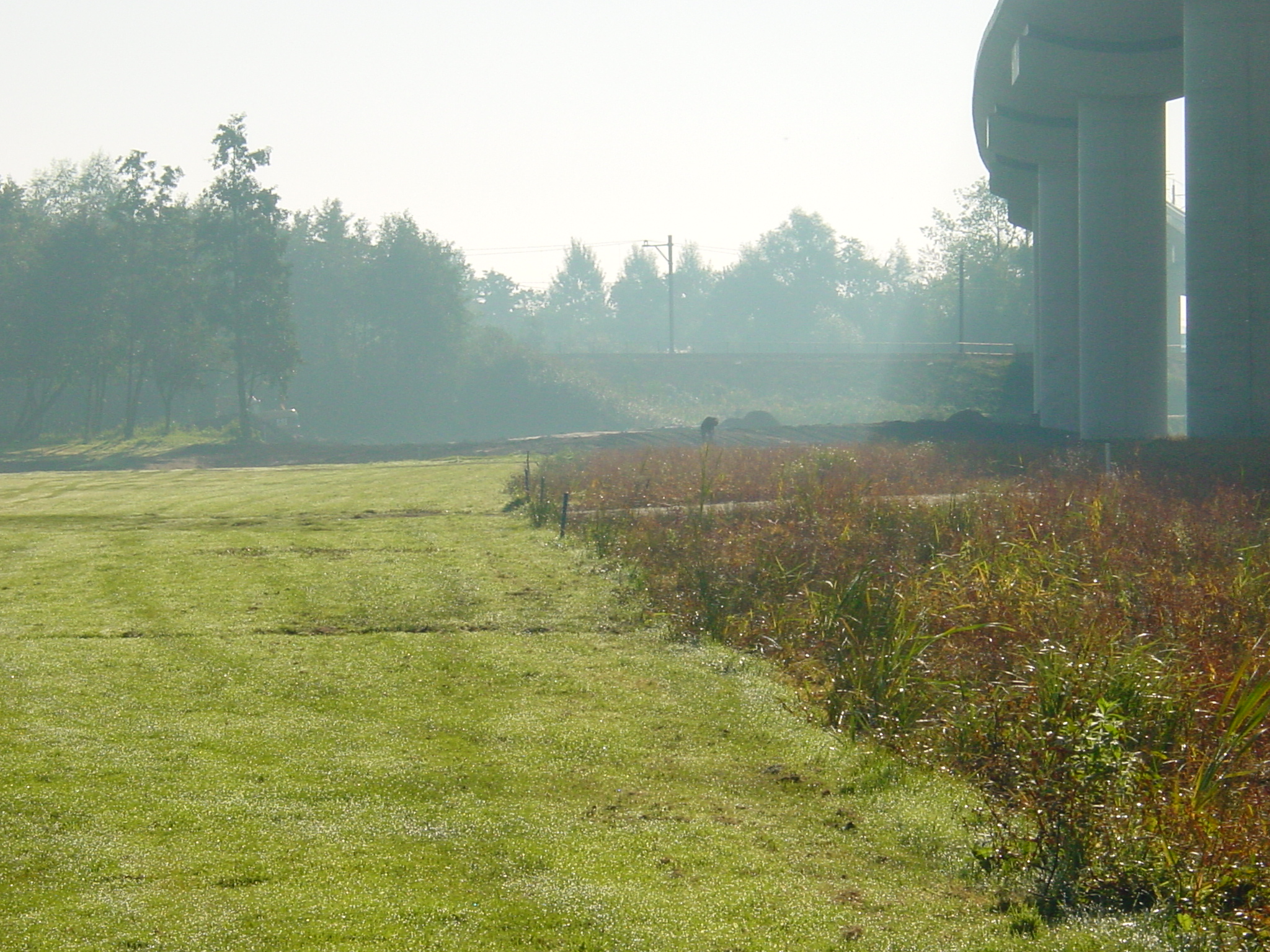 2005 aocvanwebsitederdekwartaal2005d (4)