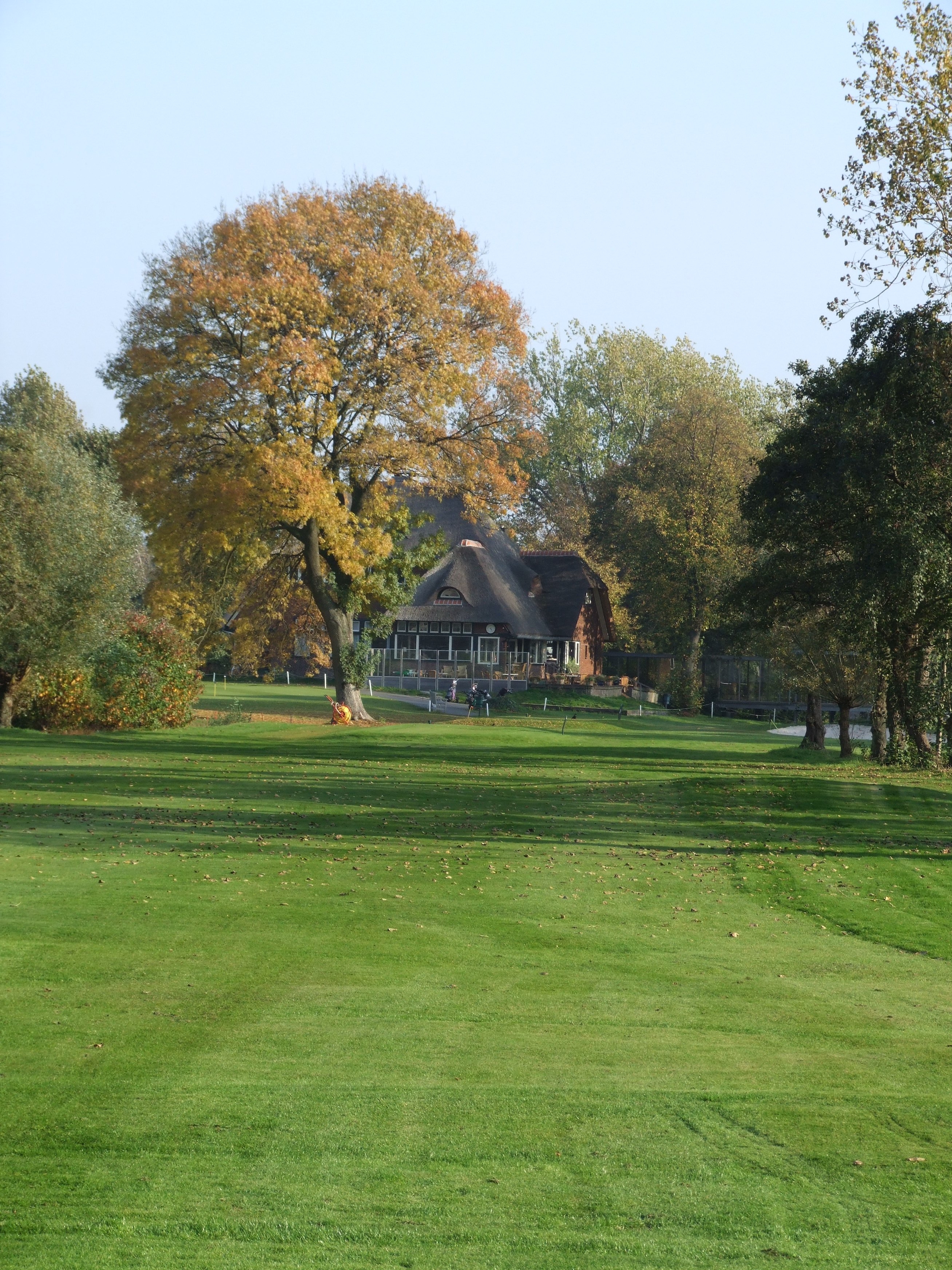 2008 ongeveer 2008 (3).JPG