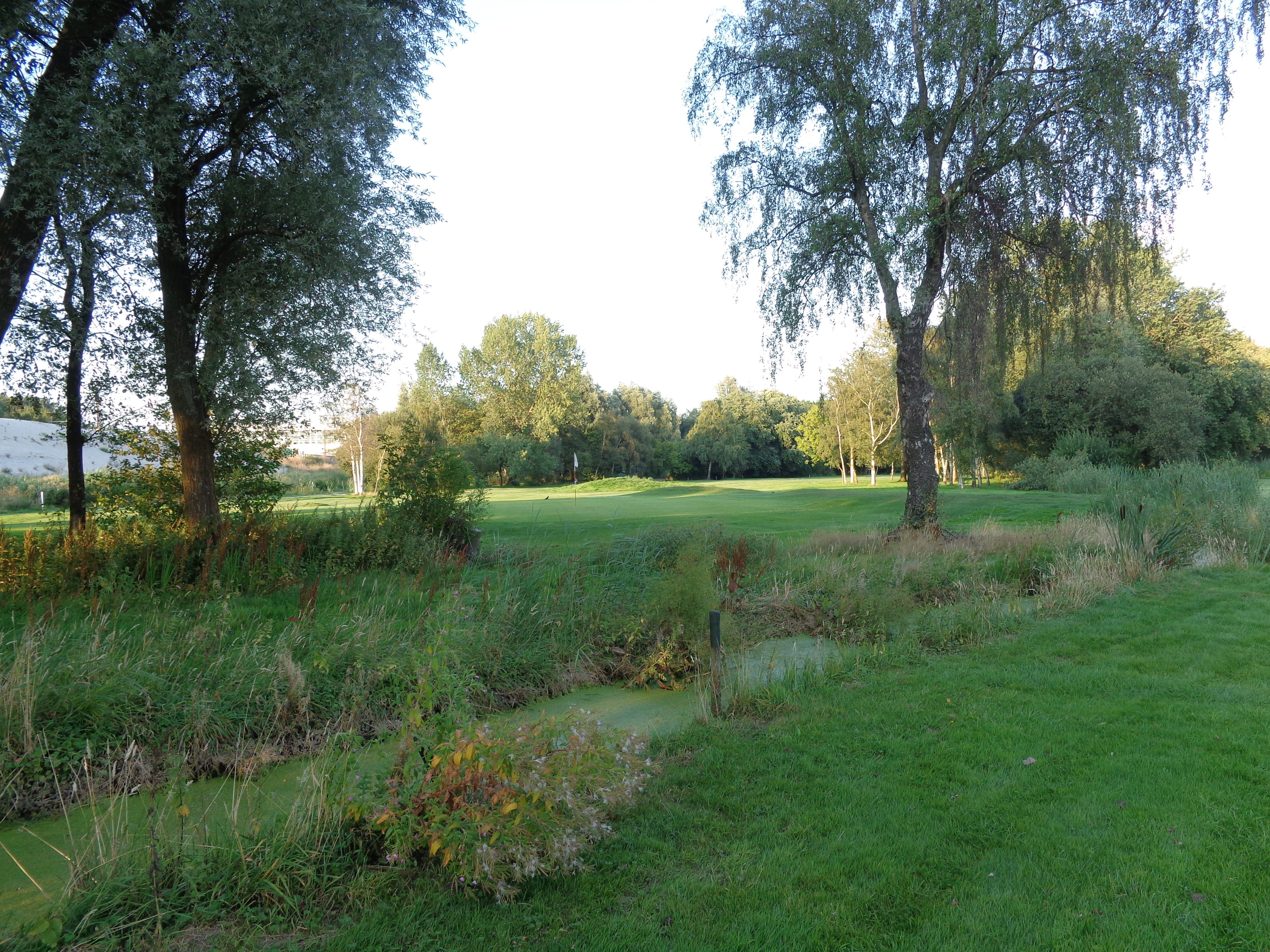2014 hole 8 4 aug 2014 DSC00222 (2).JPG