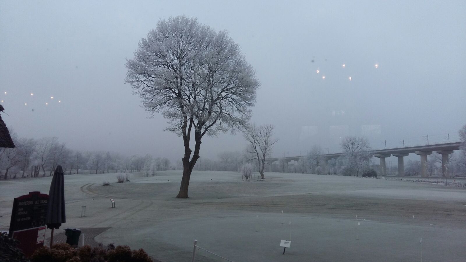 2015 25 jan IMG_0206 foto marleen (7)