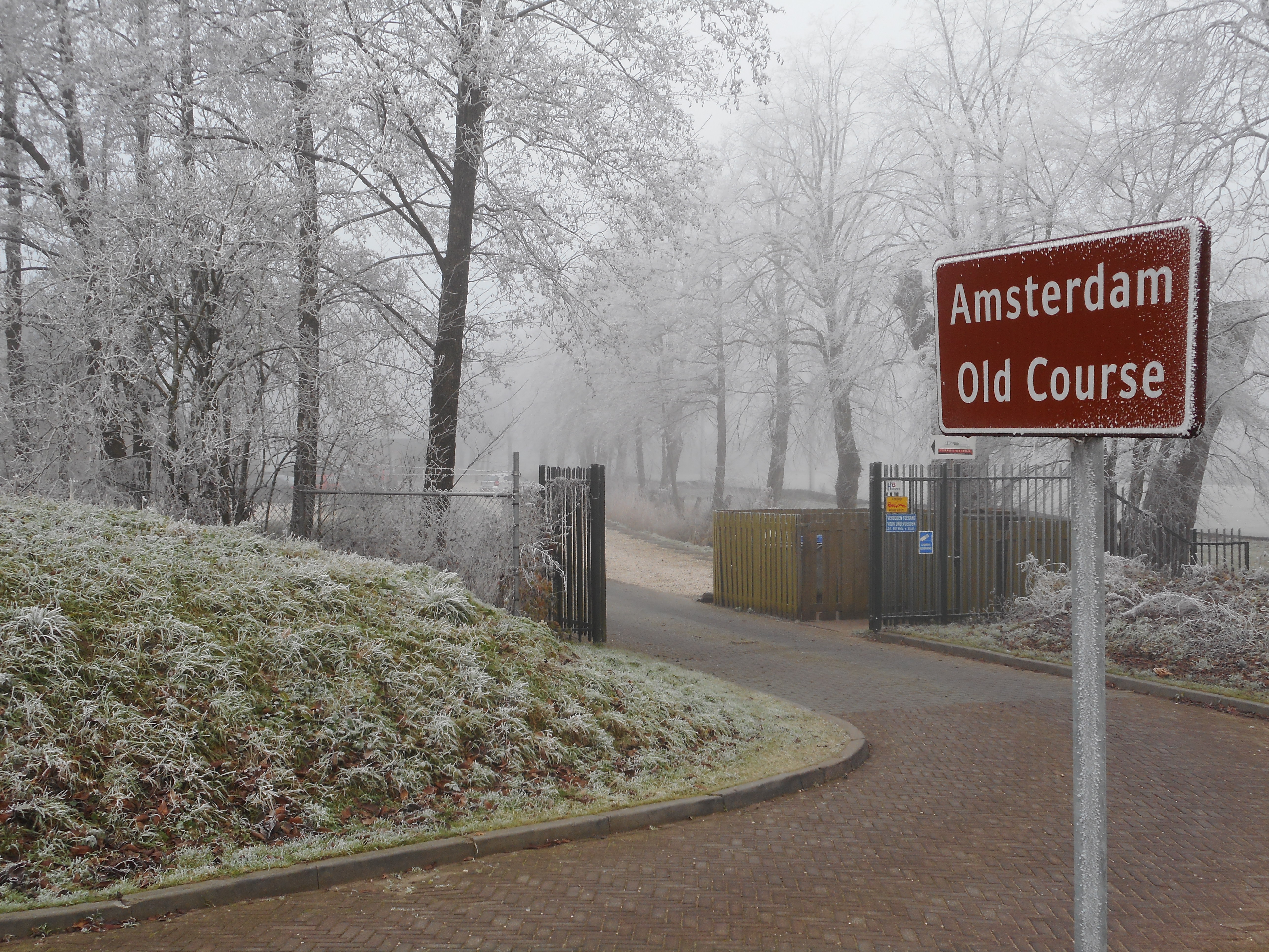 2016 30 dec  (29) zwarte laantje.JPG