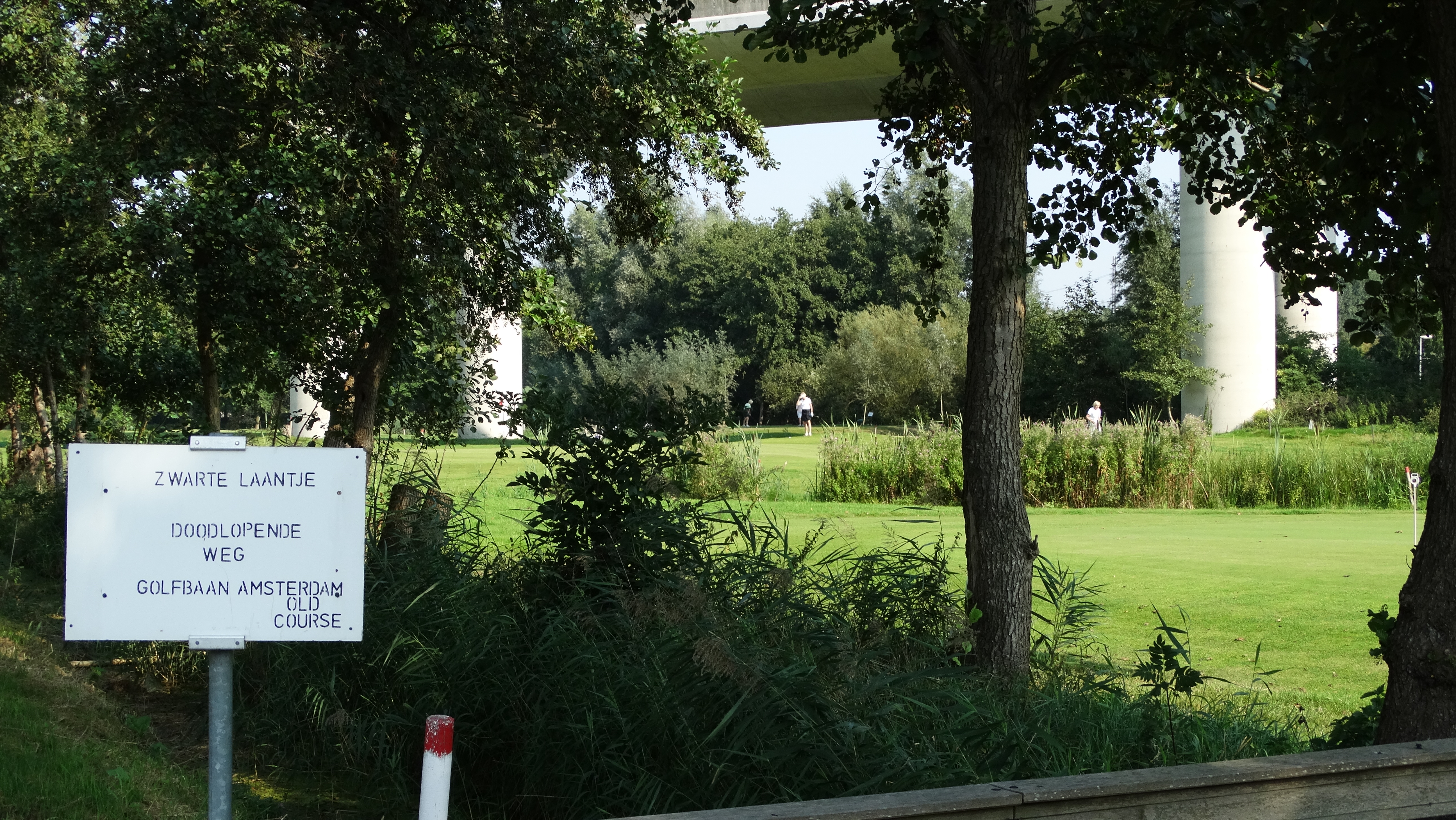 2016 zwarte laantje 15 sept 2016 DSC06084 (2).JPG