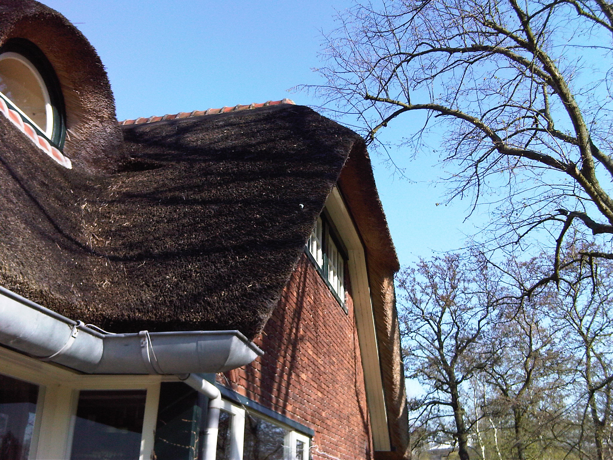 bal in dak IMG00021-2010 april 18-1706.jpg