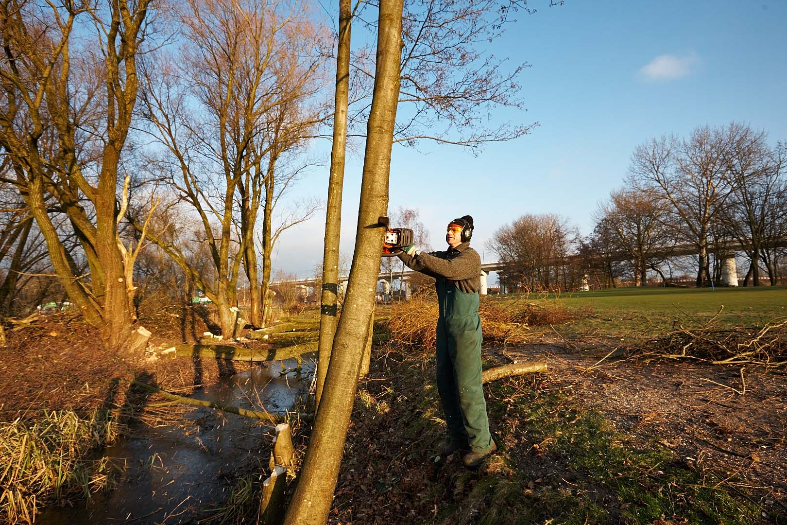 Het stoven van de Elzen op de toekomstig hol 3 door greenkeeper Peter Bobeldijk