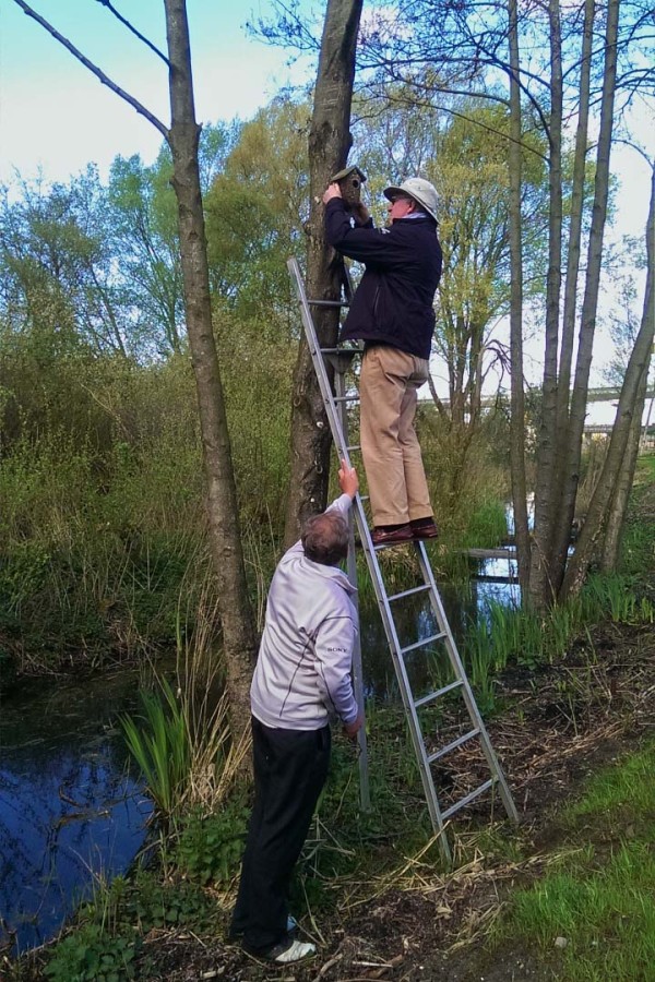 vogelkastjes-ophangen-met-Joep-en-Rien-600x900 2014