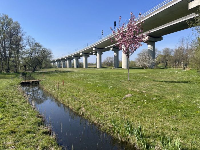 Hole 6 Amsterdam Old Course